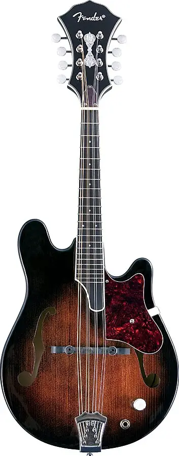 Robert Schmidt Electric Mandolin by Fender