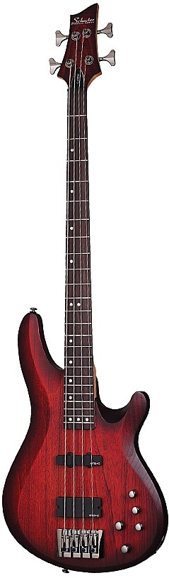 C-4 Custom by Schecter