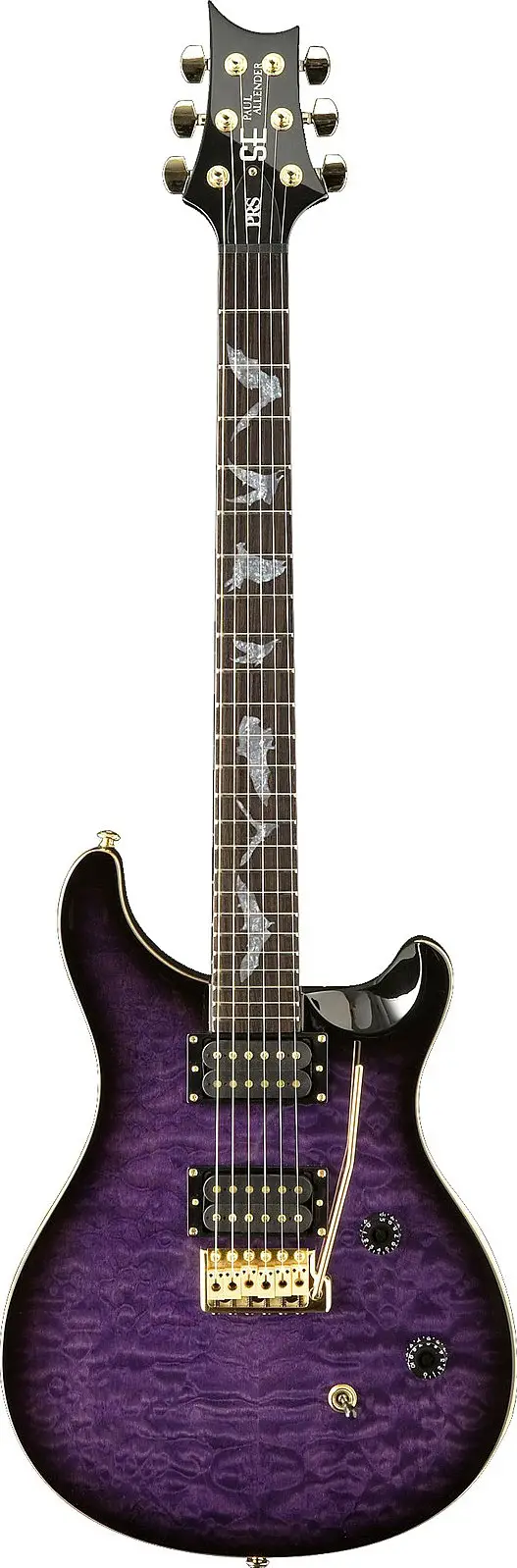 SE Paul Allender 2012 by Paul Reed Smith