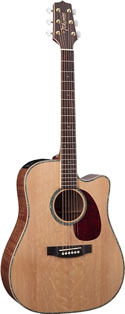 EG340DLX by Takamine