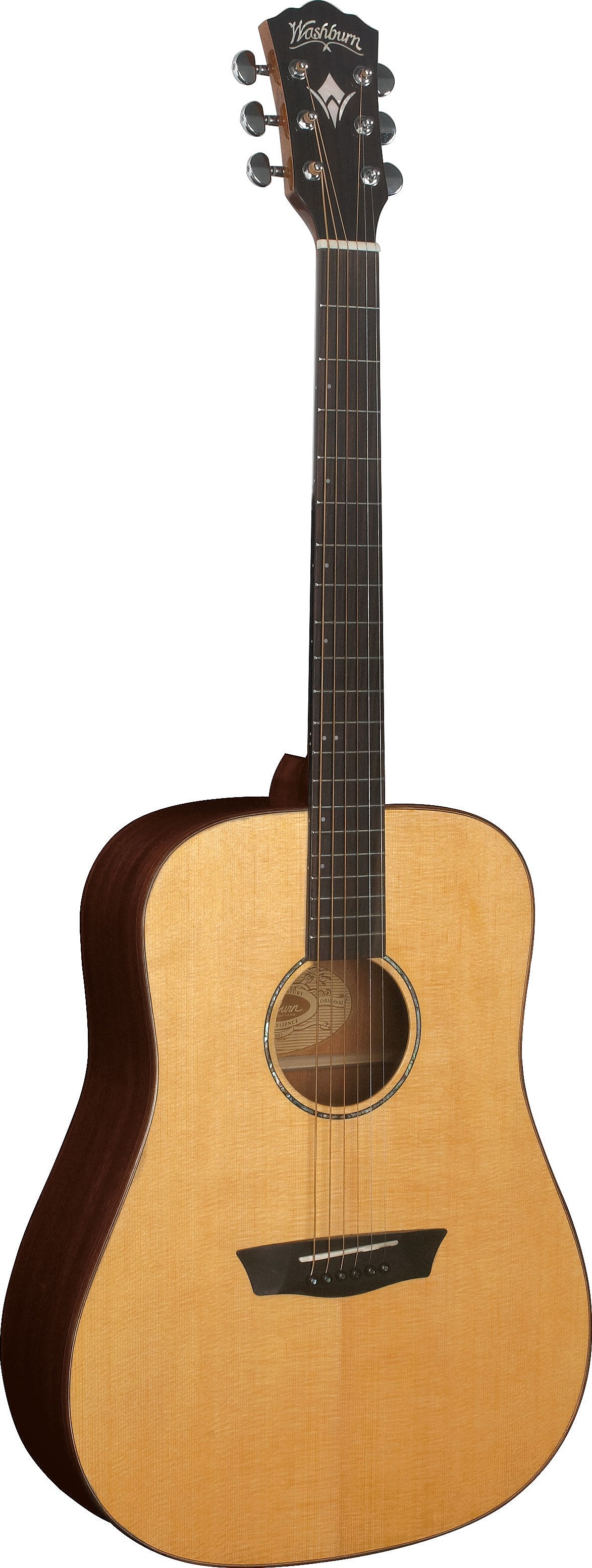 WD250SW by Washburn