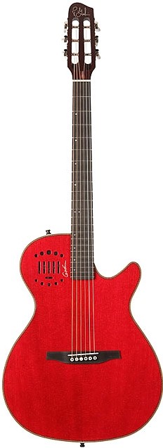 Multiac Steel Duet Ambiance by Godin