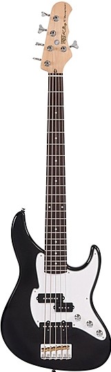 Perception 5 String Bass by Fret King