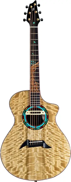 Bodhisattva Guitar by Breedlove