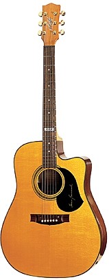 TE Series by Maton Guitars