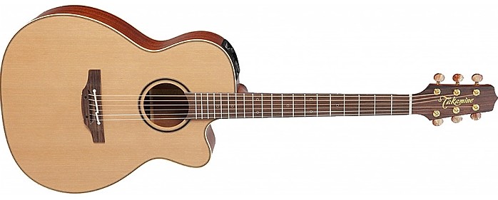 P3MC by Takamine