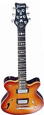 Panthera Classic Custom by Framus