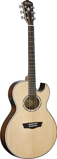 EA20SNB by Washburn