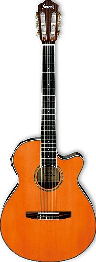 AEG10NII by Ibanez