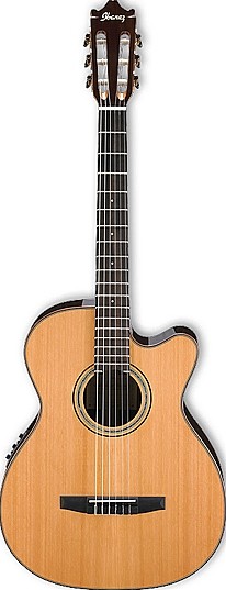 GM500CE by Ibanez