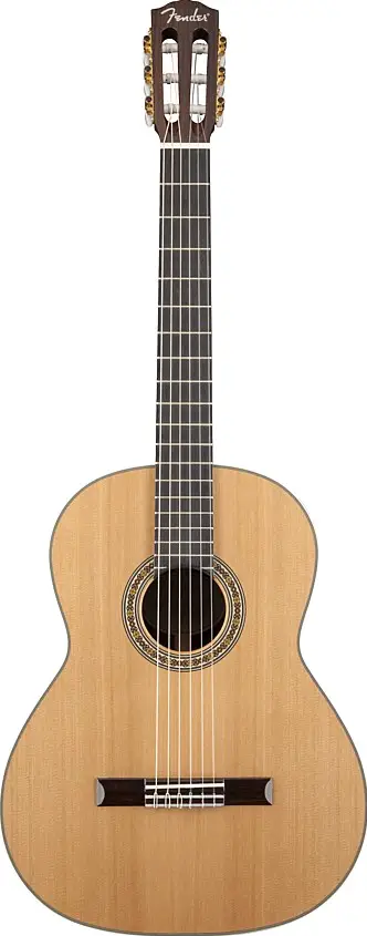 CN-320AS by Fender