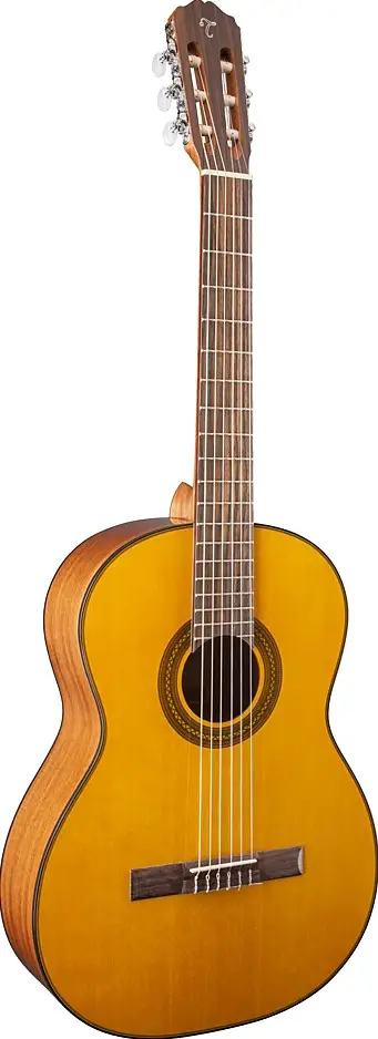 GC1-NAT by Takamine