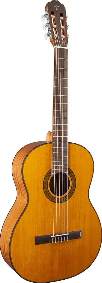 GC3-NAT by Takamine