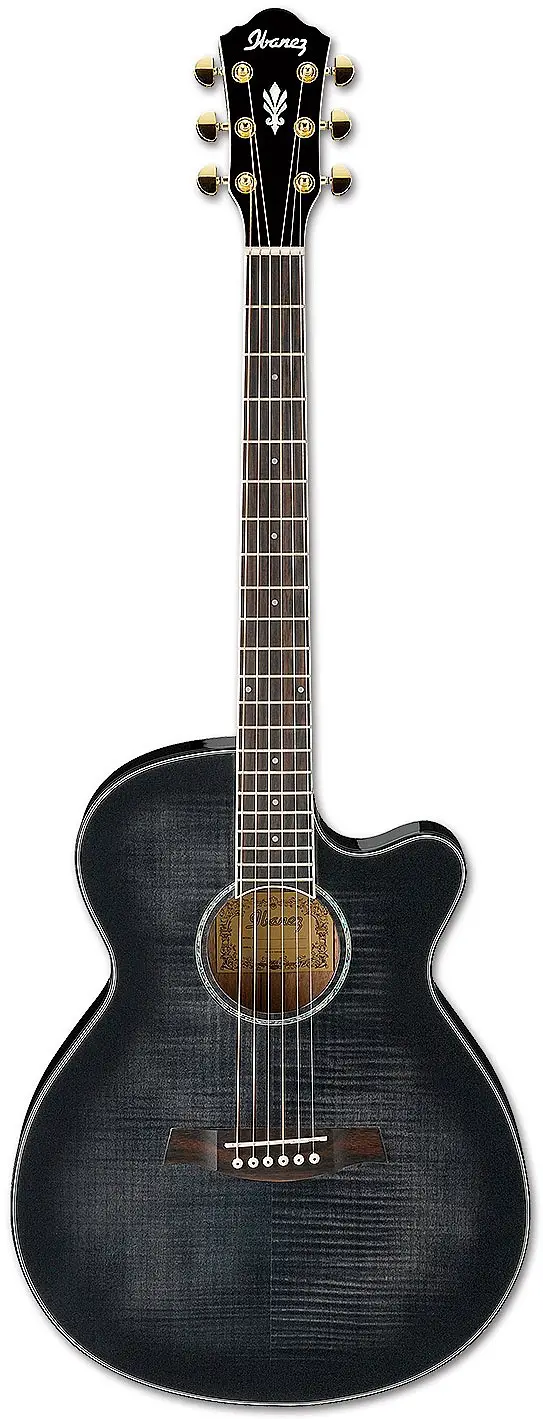 AEG240 (AEG USB) by Ibanez