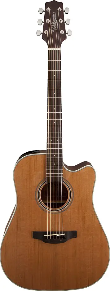 GD20CE by Takamine