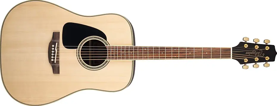 GD51LH by Takamine