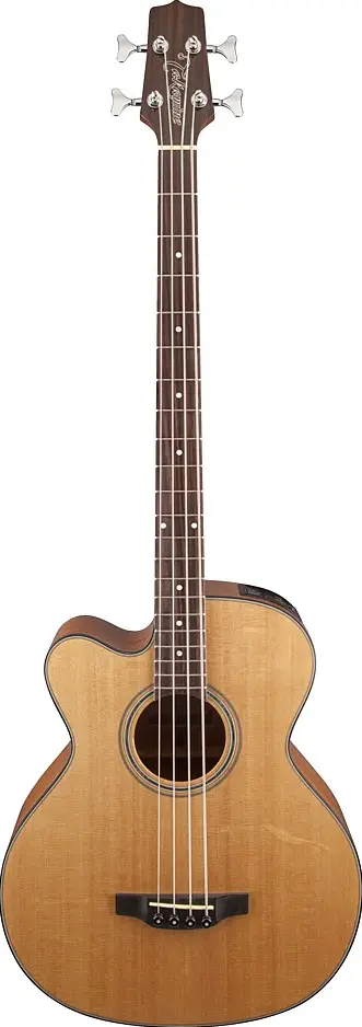 GB30CELH by Takamine