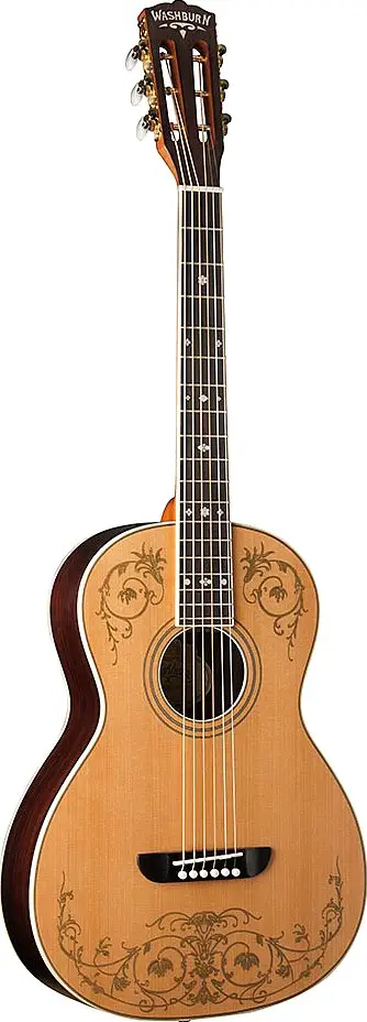 WP5234S by Washburn