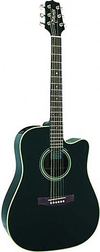 EG321C by Takamine