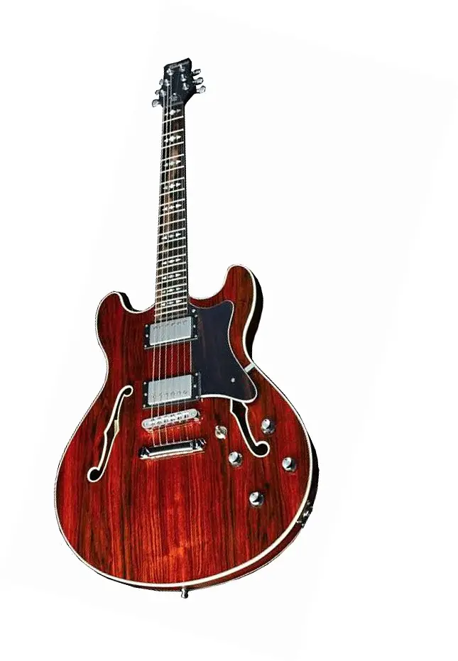 Mayfield Custom Brazil Rosewood by Framus