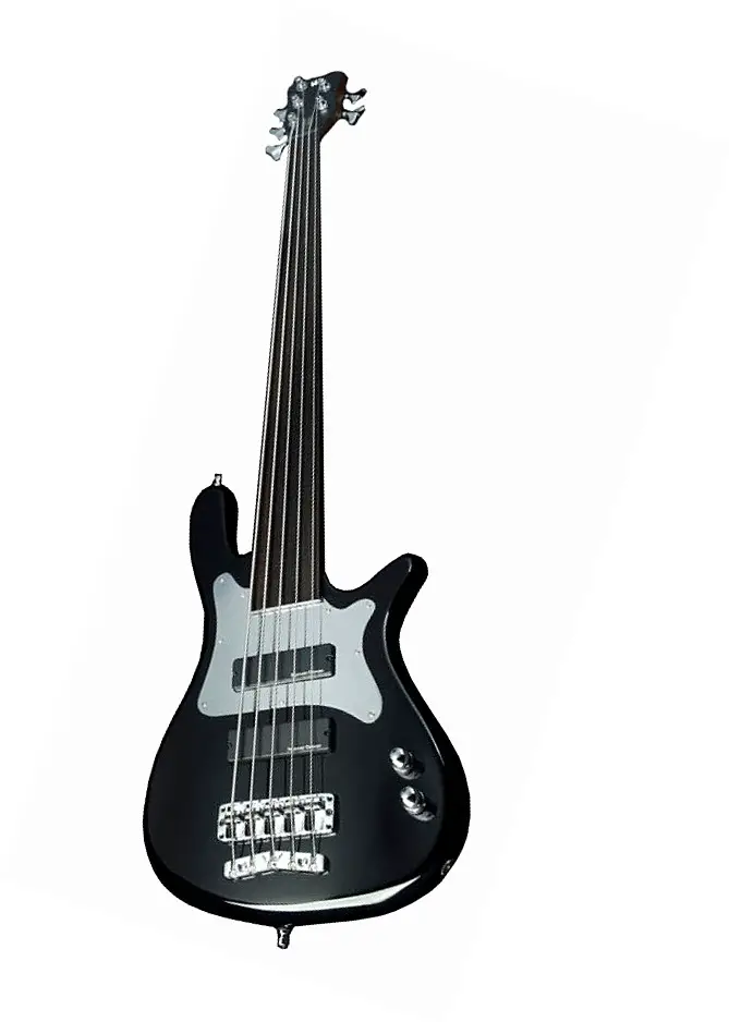 Steve Bailey Artist Series 5 Fretless by Warwick