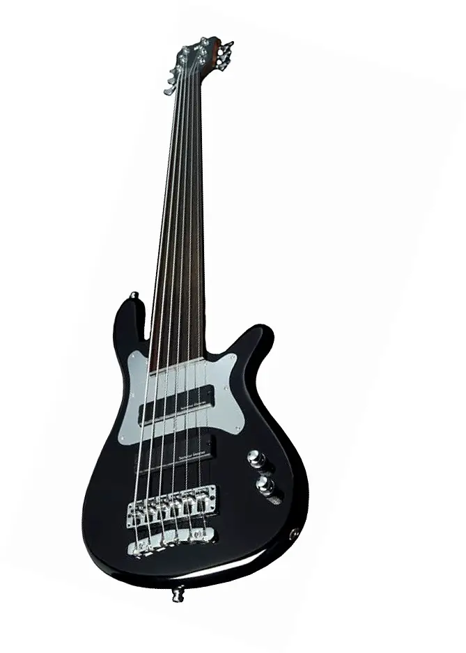 Steve Bailey Artist Series 6 Fretless by Warwick