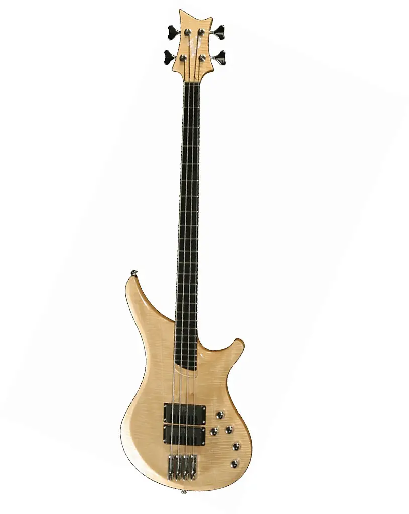 Passion IV Custom Fretless by Vigier Guitars