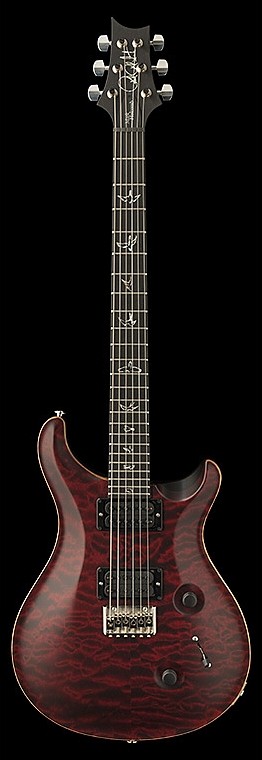 Mark Holcomb Custom 24 by Paul Reed Smith