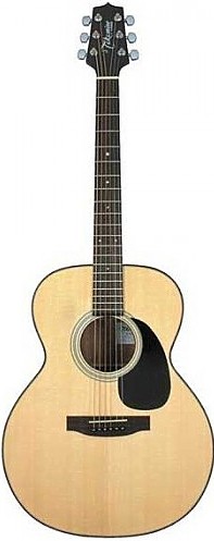 G220 by Takamine