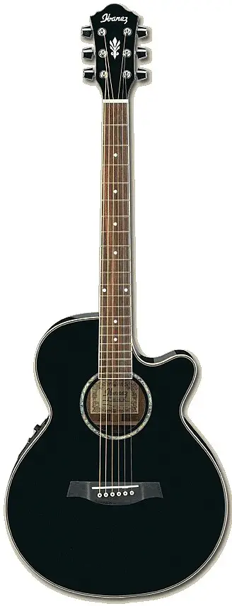 AEG10E by Ibanez