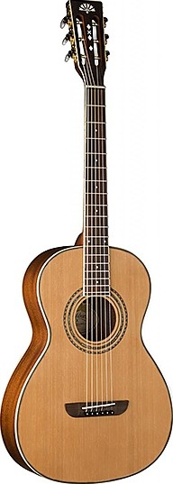 WP11SNS by Washburn