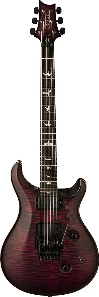 Dustie Waring by Paul Reed Smith