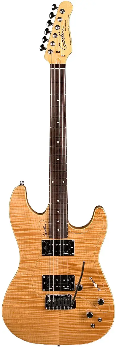 Passion RG-2 by Godin