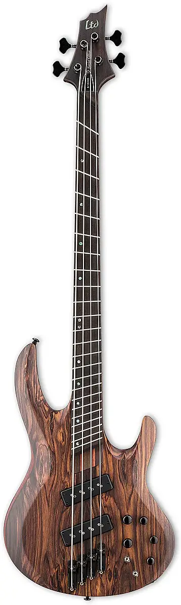 B-1004SE Multi Scale by ESP