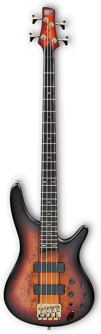 SR800 (2016) by Ibanez