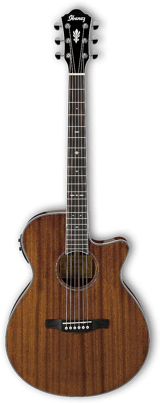 AEG12II by Ibanez