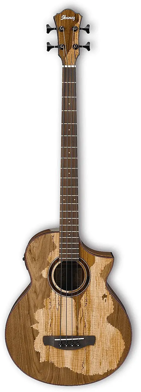 AEWB50 by Ibanez