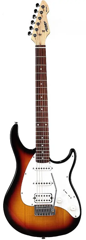 Raptor Plus by Peavey