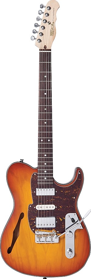 Black Label Country Squire Semitone De Luxe by Fret King