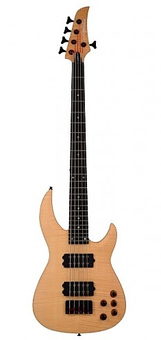 Ninja 300-PRO 5-String by Legator Guitars