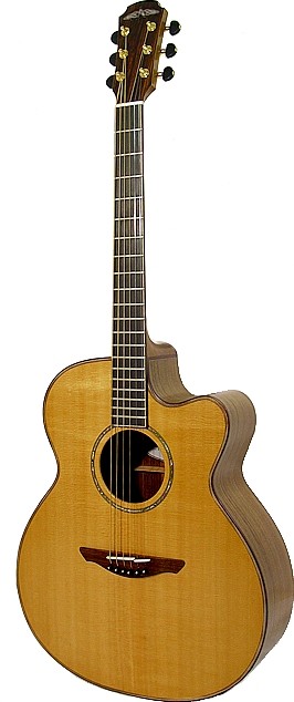 Ard Ri 1-310 by Avalon Guitars