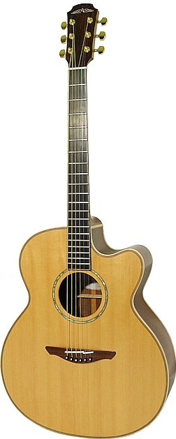 Ard Ri 2-330 by Avalon Guitars