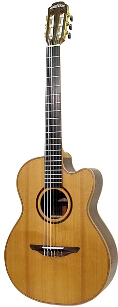 Fusion 1-20CN by Avalon Guitars