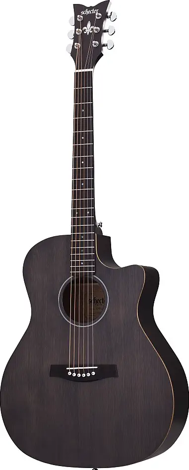 Deluxe Acoustic by Schecter