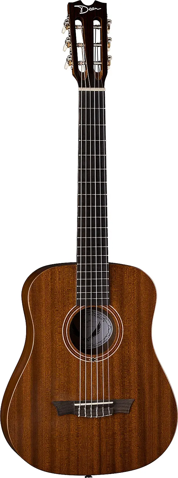 Flight Nylon Mahogany Travel GTR by Dean