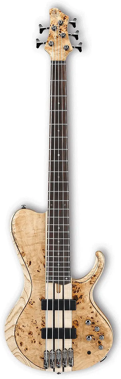 BTB845SC by Ibanez