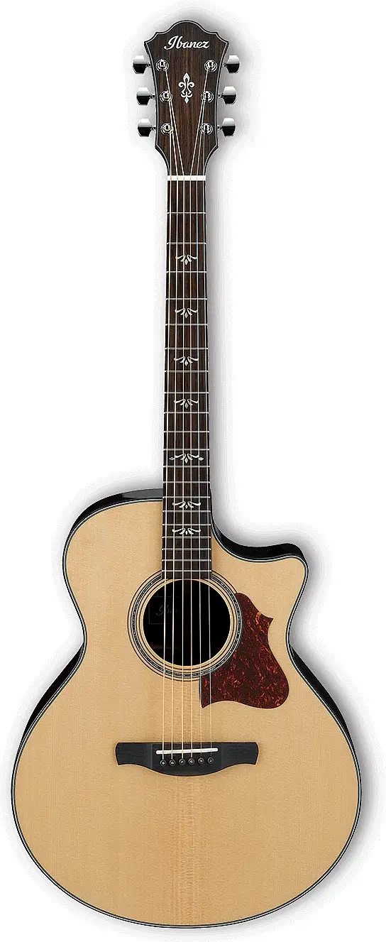 AE500 by Ibanez