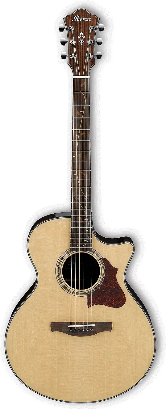 AE305 by Ibanez