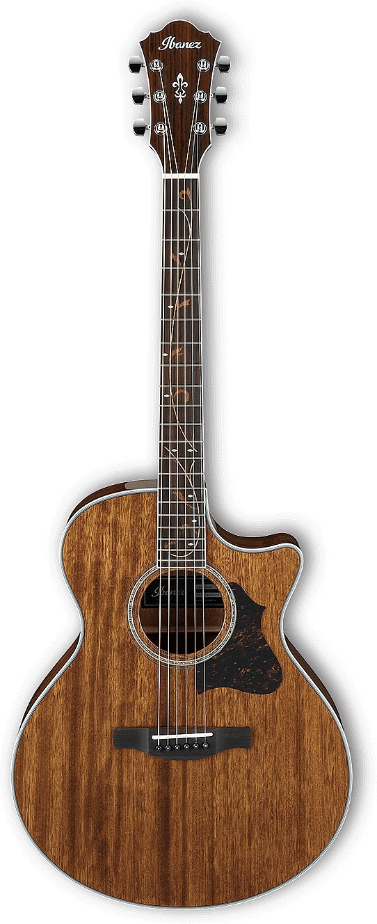 AE245 by Ibanez