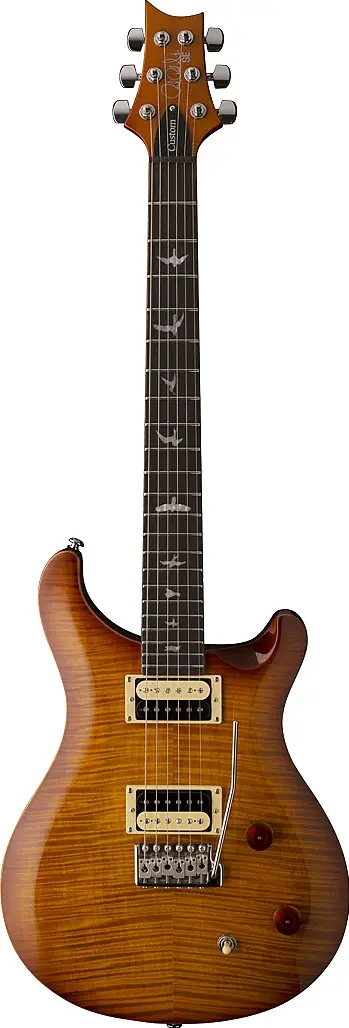 SE Custom 22 (2017) by Paul Reed Smith